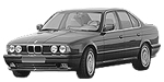 BMW E34 P1461 Fault Code